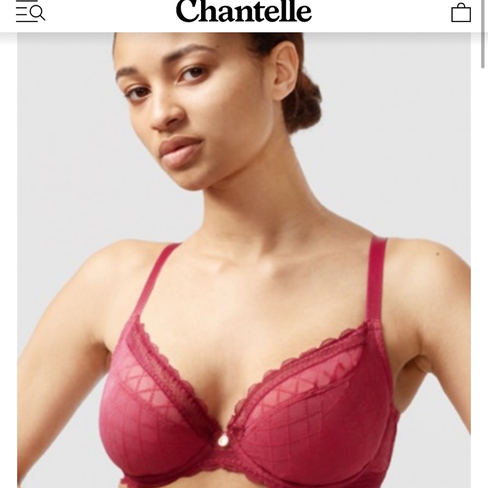 Chantelle bra brand new with tag size 32D